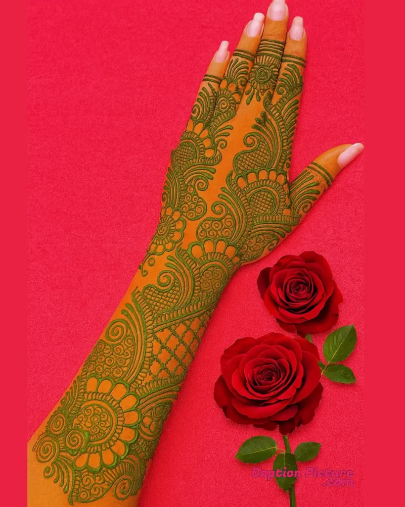 মেহেদী ডিজাইন ২০২৫ পিক গর্জিয়াস