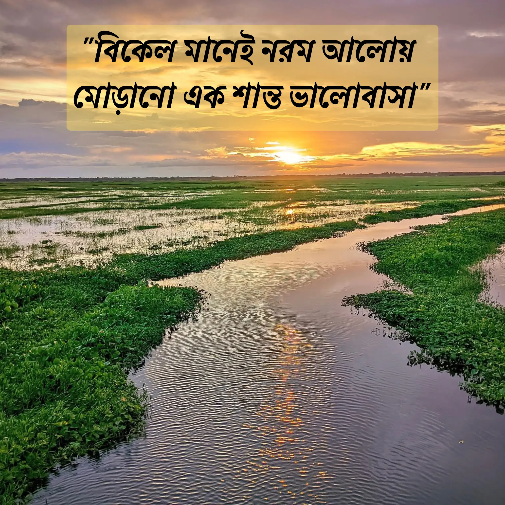 প্রকৃতির ছবি (2) বিকেলের প্রাকৃতিক দৃশ্য