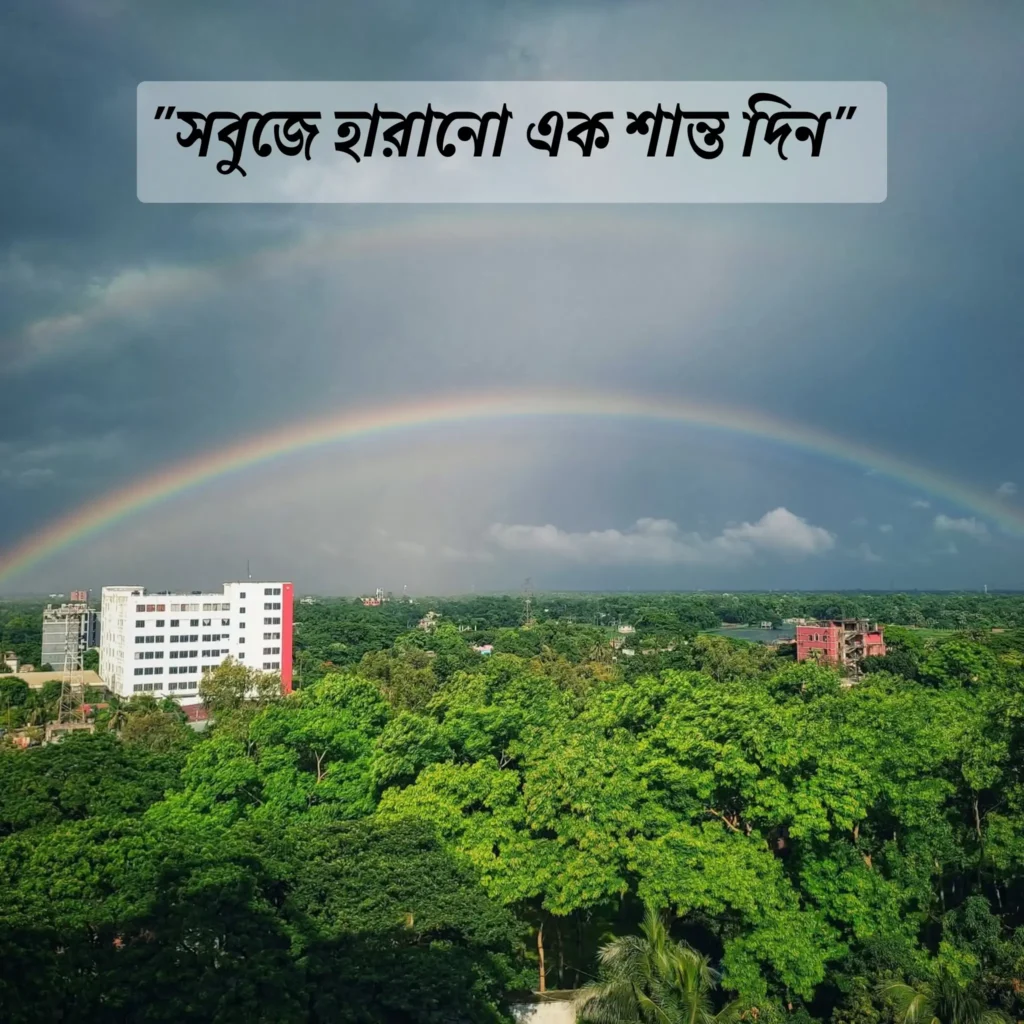 গাছপালার প্রাকৃতিক দৃশ্য